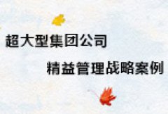【博革案例】超大型集團公司精益管理戰略案例